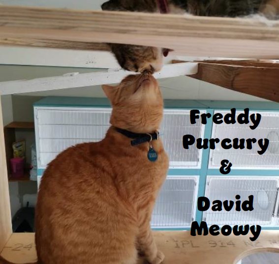 Freddy Purcury and David Meowy